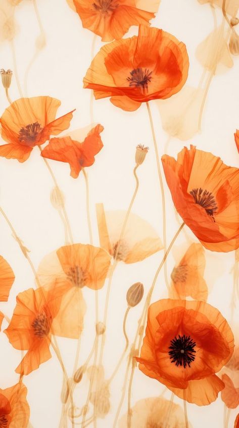 Nature, Poppy Aesthetic Wallpaper, Poppy Flower Background, Poppy Wallpaper Aesthetic, Poppy Aesthetic Flower, Orange Color Aesthetic, Poppy Flower Aesthetic, Orange Flower Background, Poppy Flower Wallpaper