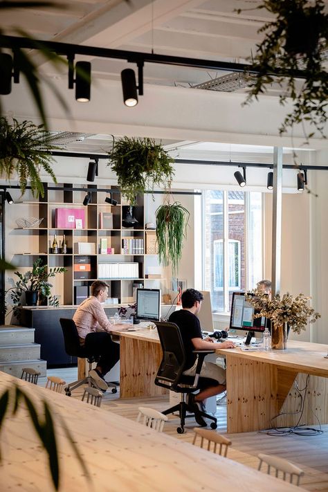 Lampen Office With Plants, Coworking Space Design, Agency Office, Inmobiliaria Ideas, Modular Lighting, Outfit Office, Open Space Office, Cool Office Space, Office Design Inspiration