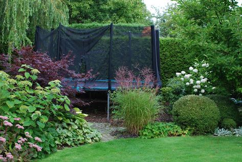 Garden Trampoline, Backyard Trampoline, Have Inspiration, Backyard Inspiration, Backyard Playground, Trampolines, Garden Landscape Design, Dream Backyard, The Grove