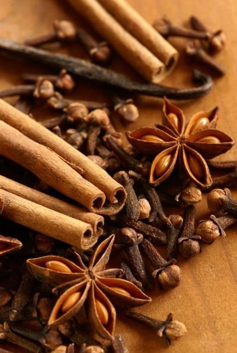 Herbal Logo, Spices Photography, Jewelry Product Shots, Food Art Photography, Fruit Photography, Fall Spices, Room Fragrances, Spices And Herbs, Star Anise