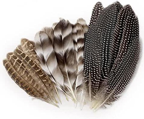 Amazon.com: Feathers Dream Catcher Crafts, Decorative Feathers, Craft Feathers, Feather Centerpieces, Pheasant Feather, Feather Mask, Pheasant Feathers, Turkey Feathers, Feather Crafts