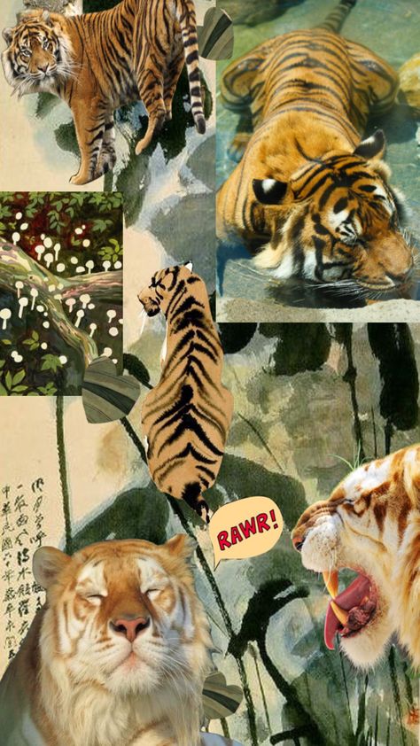 Tiger Mood Board, Golden Tiger Wallpaper, Tiger Therian Mask, Rawr Wallpaper, Tiger Therian, Tiger Pfp, Tiger Collage, Tiger Aesthetic, Fox Paws