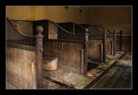 Horse stalls by Capt' Gorgeous, via Flickr Poolside Bar Ideas, Beautiful Stables, Modern Brewery, Old Stables, Paddock Paradise, Dream Stables, Horse Stall, Restaurant Themes, Magnolia Farms