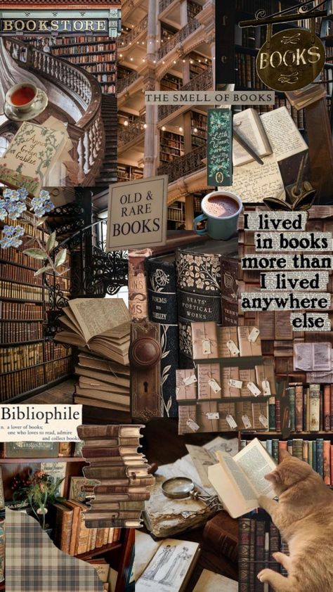 Bookish Wallpaper, Reading Wallpaper, Author Dreams, Castle Aesthetic, Collage Book, Book Background, Iphone Wallpaper Ios, Aesthetic Light, Book Wallpaper