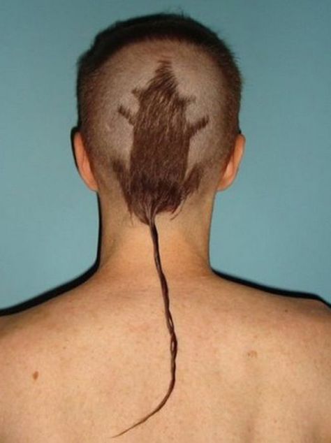 Epic haircut fails Rat Tail Haircut, Haircut Fails, Bad Haircut, Rat Tail, Corte De Cabelo Masculino, Hair Photo, Bad Hair Day, Crazy Hair, Hair Humor