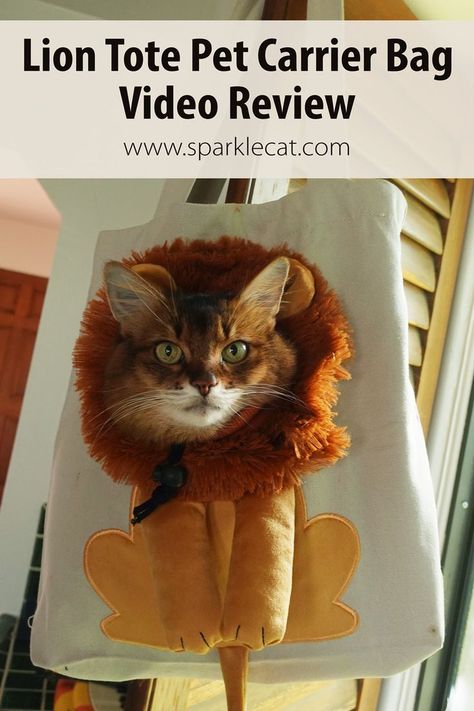 Somali cat in a lion tote pet bag Cat Bag Pattern, Lion Pet, Cat Carrier Bag, Bag Video, Lion Cat, Pet Carrier Bag, Sewing Crafts Tutorials, Cute Lion, Cat Help