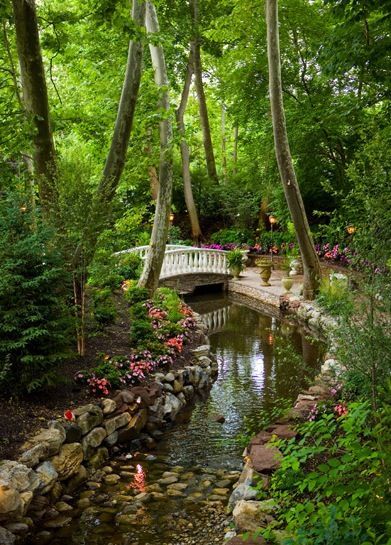 Beautiful Parks Garden, Park Ideas Design, Forest Garden Design, Art In The Park, Beautiful Parks, Outdoor Park, Garden Wedding Venue, Garden Park, Beautiful Park