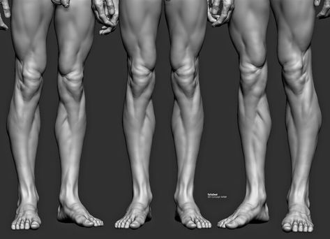 남성 근육, Leg Anatomy, Human Muscle Anatomy, 3d Anatomy, Man Anatomy, Anatomy Sculpture, Anatomy Tutorial, Human Anatomy Drawing, Muscle Anatomy