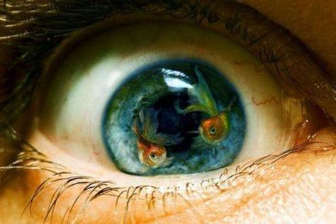 Fisheye Photography, Figurative Kunst, Horror Vintage, Eye Pictures, Avatar Movie, The Reflection, Eye Photography, Eye Art, An Eye