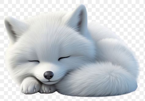 Arctic Fox Sleeping, White Kitsune, Sleeping Cartoon, Fox Background, Sleep Cartoon, Cartoon Sleeping, Fox Sleeping, Sleeping Animals, Japanese Dogs