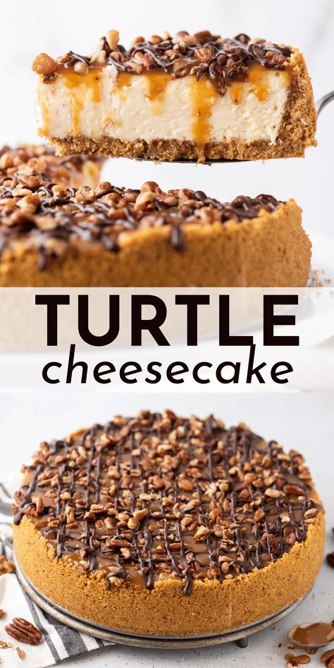 Even if you’ve never baked before, you will become a turtle cheesecake pro when you follow my easy step-by-step recipe and learn my tips for baking a cheesecake in a water bath. Your friends and family will RAVE about this turtle cheesecake recipe! Instant Pot Turtle Cheesecake, Cheesecake Recipes Turtle, Turtle Cheesecake Recipe Easy, Chocolate Turtle Cheesecake, Ultimate Turtle Cheesecake Recipe, Turtle Cheesecake Recipe, Turtle Dessert, Dessert List, Chesse Cake