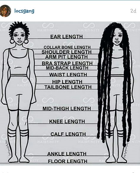 Loc length guide Tailbone Hair Length, Mid Length Twists, Tailbone Length Hair, Uncut Hair, Wig Tutorials, Quotes Rainbow, Loc Appreciation, Nubian Locs, Long Locs