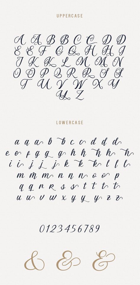 Almyra Script font letters English Font Handwriting, English Calligraphy Fonts Alphabets, Stylish Handwriting Alphabet, English Fonts Design, Front Letter Design, Calligraphy Letters Alphabet Fonts Handwriting, Stylish Fonts Alphabet Letters, Stylish Fonts Alphabet, Fonts Design Alphabet