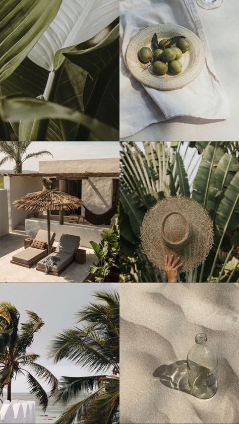 Tulum Aesthetic Wallpaper, Tropical Mexico Aesthetic, Tropical Boho Aesthetic, Travel Aesthetic Tropical, Tulum Mood Board, Tulum Inspired Decor, Tropical Travel Aesthetic, Tulum Astethic, Beach Aesthetic Mexico