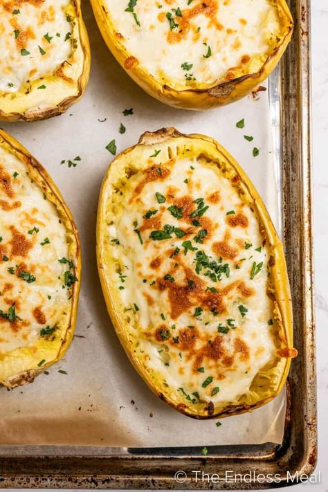 Tender strands of spaghetti-like squash are smothered in the creamiest alfredo sauce ever in this delicious spaghetti squash alfredo recipe. It offers a lighter, lower-calorie alternative to traditional pasta, but still brings decadence. Best of all, this boat of creamy comfort is also incredibly easy to prepare!  #theendlessmeal #spaghettisquash Spaghetti Squash Alfredo Recipes, Spagetti Squash Alfredo, Spaghetti Squash Recipes Chicken, Veggie Alfredo, Spaghetti Squash Shrimp, Spaghetti Squash Chicken Alfredo, Spaghetti Squash Alfredo, Squash Alfredo, Spaghetti Squash Pasta