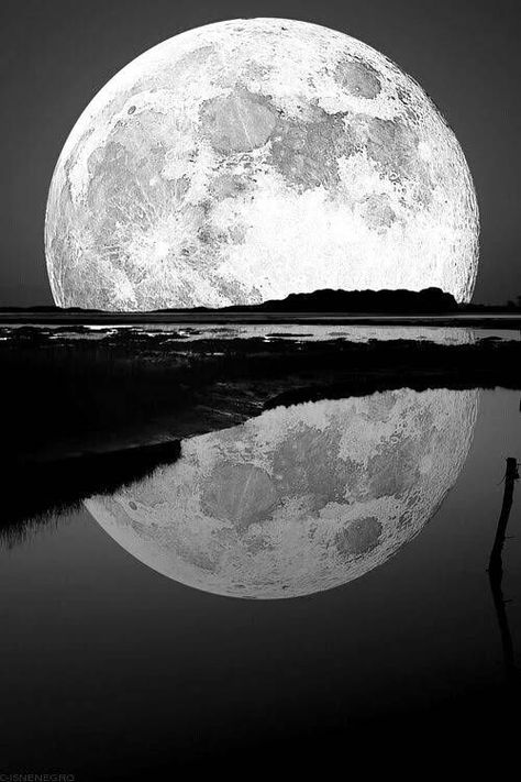 You Are My Moon, Shoot The Moon, Image Nature, Moon Pictures, The Full Moon, Beautiful Moon, Foto Art, White Picture, Jolie Photo