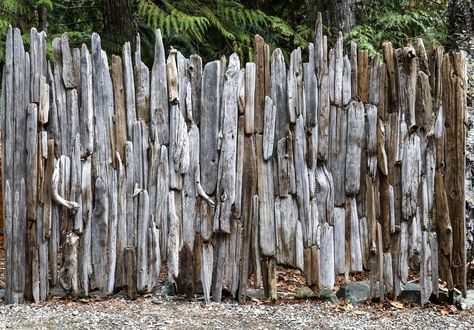 Drift Wood Fence, Dead Hedge, Driftwood Fence, Wattle Fence, Wood Retaining Wall, Fence Wall Design, Rustic Fence, Fence Wall, Wood Steps