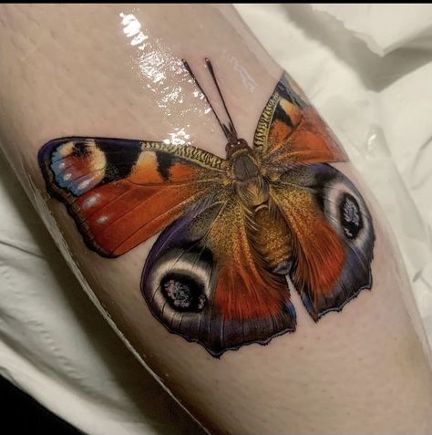 Hummingbird Moth Tattoo, Colored Moth Tattoo, Butterfly Realism Tattoo, Colorful Butterfly Hand Tattoo, Moth Tattoo Ideas Color, Huge Butterfly Tattoo, Moth Colored Tattoo, Coloured Moth Tattoo, Painted Lady Tattoo Butterfly