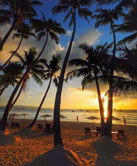 Sunset in Boracay - Philippines 🌴🌴🌴 Credits ✨@warrencamitan✨ . #beachesnresorts for a feature 🌴 Philippine Holidays, Boracay Philippines, Beach Instagram Pictures, Boracay Island, Philippines Travel, Gorgeous Sunset, Boracay, Sun Sets, Sunset Photos