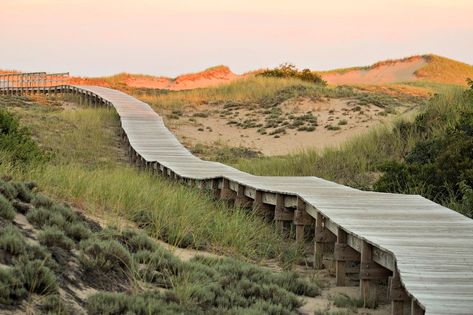 25 Things To Do in Newburyport and Plum Island with Kids Plum Island, Kids Things To Do, Family Destinations, Travel Outdoors, Perfect Family, Outdoor Adventure, Outdoor Adventures, East Coast, Beautiful World