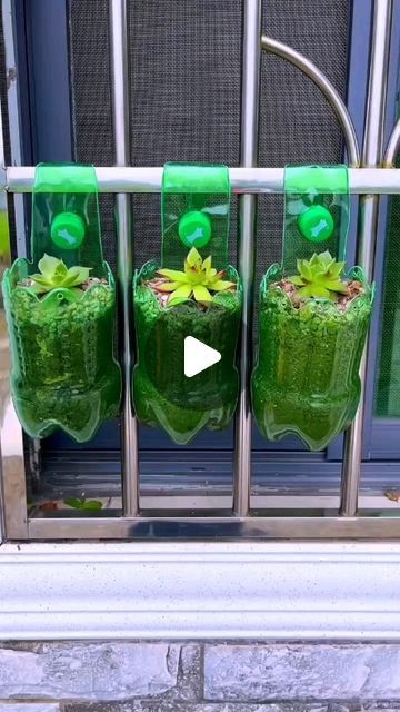 Plastic Bottles Planters, Bottle Plants Ideas, Diy With Bottles, Plastic Bottle Crafts Diy Creative, Bottle Planter Ideas, Uses Of Plants, Garden Ideas With Plastic Bottles, Diy Recycle Plastic, Recycled Bottle Crafts