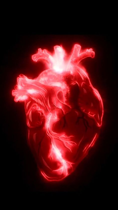 Red Heart Video, Burning Heart Video, Aesthetic Heart Video, Heart Animation Video, Heart Video Aesthetic, Heart Beating Video, Heart Beat Video, Animation Videos Motion, Heartbeat Aesthetic