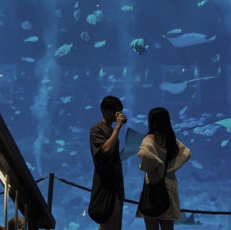 Aquarium Date, Fancam Blackpink