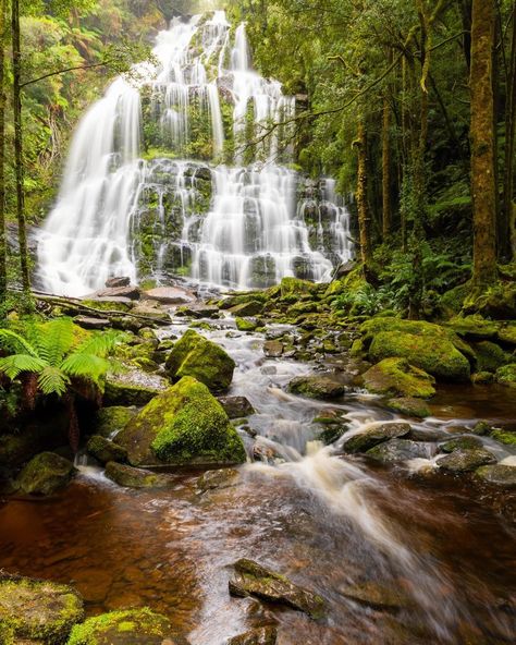 Memories from Tassie. Such a stunning place that blew me away. I had no idea it was so mountainous and beautiful. I’ll be back one day. 4&6 from @austinsills (not sure why those came out blurry 🫣🫣) - - - #tassiestyle #tasmania #seeaustralia #visitaustralia #nationalparks | explore Tasmania | tasmania national parks |travel to Australia Travel To Australia, Tasmania Australia, Visit Australia, National Parks Trip, Summer 24, Summer Break, Australia Travel, Tasmania, The Mountain