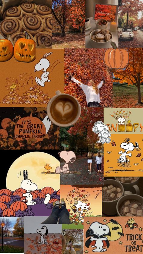 Peanuts Fall, Snoopy Fall, Peanuts Wallpaper, Fall Backgrounds Iphone, Cute Snoopy, Halloween Wallpaper Iphone Backgrounds, Halloween Wallpaper Cute, Im Obsessed, Snoopy Halloween