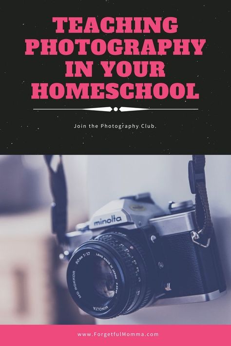 Photography Curriculum, Abeka Homeschool, Homeschool Apps, Teaching Photography, Secular Homeschool, Parenting Photography, Homeschool Lesson Plans, Photography Club, Homeschool High School