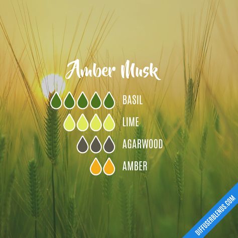 Amber Musk | DiffuserBlends.com Musk Essential Oil, Amber Essential Oil, Essential Oil Combinations, Doterra Essential Oils Recipes, Essential Oil Diffuser Blends Recipes, Young Living Essential Oils Recipes, Essential Oils Herbs, Essential Oils Health, Essential Oil Diffuser Recipes