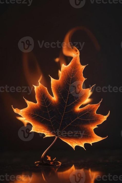 AI generated a maple leaf with flames on it Flames Photography, Alchemy Ingredients, Hell Fire, Team Canada, Tree Saw, Wedding People, Heart Tree, Cityscape Photos, Logo Banners