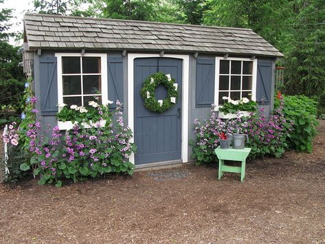 Garden Shed Colours, Cool Sheds, Painted Shed, Shed Makeover, Shed Colours, Shed Plan, Backyard Sheds, Backyard Shed, Outdoor Sheds