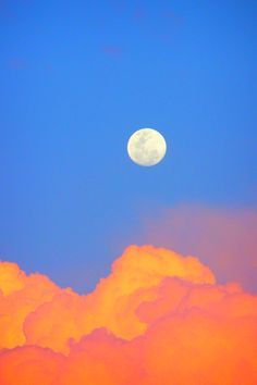 1000+ images about Blue and Orange on Pinterest | Blue Orange ... Fluffy Clouds, Orange Hues, The Blue Sky, The Sky, The Moon, Blue Sky, Trees, Moon, Orange