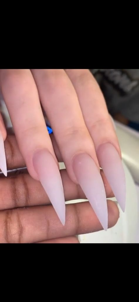 Round Stilleto Nails Long, White Nails Acrylic Stilettos, Stilleto Nails Curved, Long Nails Almond Shape, Claw Nails Designs Stilettos, Stalitoes Nails, Natural Stiletto Nails Acrylics, Clear Stilletos Nails, Acrylic Claw Nails