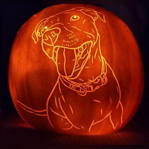 Pumpkin Carver, Pitbull Mix, Halloween Looks, Jack O, Pitbull, Jack O Lantern, Pumpkin Carving, Pumpkins, Lanterns