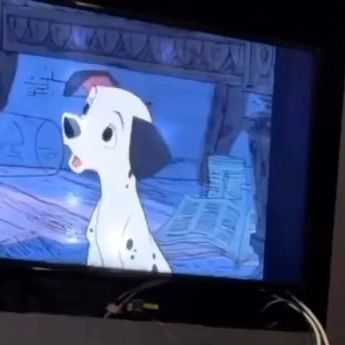 Animals on Instagram: "Watching 101 dalmatians 🥹🤍🖤 Video by: @perdita_dalmatianth" Dalmatian Puppy, 101 Dalmatians, Dalmatian, Puppies, Funny, Animals, On Instagram, Instagram