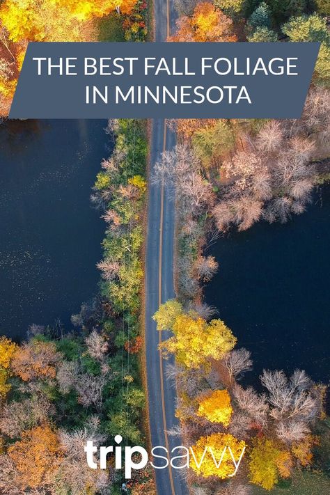 The Best Places to See Fall Colors in Minnesota Minnesota Fall, Minnesota Travel, Fall Vacations, Fall Travel, Going On A Trip, Fall Color, Right Time, Fall Foliage, Places To See