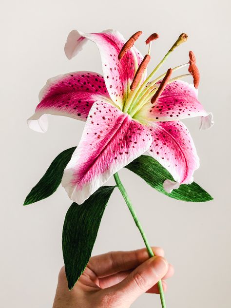 Hand Painted Crepe Paper Stargazer Lily - made with German doublette crepe and 160g crepe, and Italian 60g crepe. Learn to make this flower - join my Studio Club on Patreon for video tutorial and template! Realistic Crepe Paper Flowers, Crepe Paper Projects, Lily Crepe Paper Flower, Diy Paper Lily, Crepe Paper Lily, Paper Lily Flower, Easy Flower Craft, Wedding Paper Flowers, Paper Lily