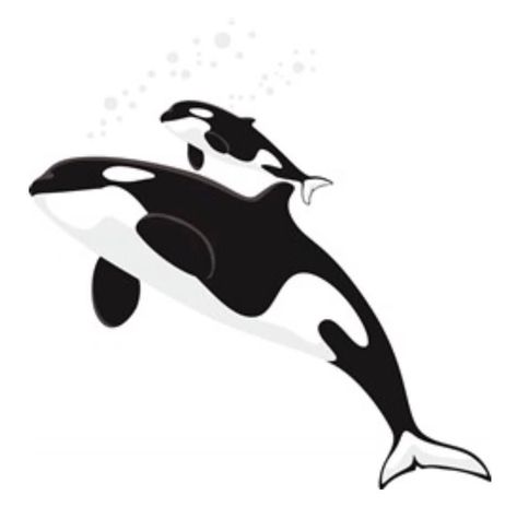 Whale Svg, Animal Canvas Paintings, Superhero Coloring, Whale Art, Hand Crafts For Kids, Orca Whales, Killer Whale, Killer Whales, Book Images