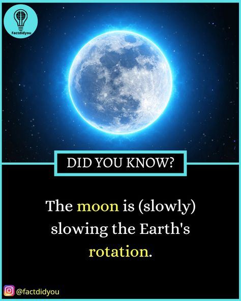 Facts Knowledge | Daily Facts | Best Knowledge | Trending Facts | Best Facts Best Facts, Galaxy Facts, Geography Facts, Facts About Earth, Youtube Facts, Fruit Health, Psychological Facts Interesting, Science Fact, Interesting Science Facts