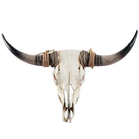 PRICES MAY VARY. ☀ Long Horns Cow Skull Wall Decor: Authentic skulls and highest quality carvings. We hand select each skull and work directly with talented artisans with years of specialized training to ensure your longhorn skull wall decor is an incomparable piece of decor ☀ Handicrafts & Animal Protection: Looking for an exotic wall decor to add flavor to your room? Look no further with this high quality wall plaque!!! It is not a real steer skull so no cow was hurt during its production! ☀ U Cow Skull Wall Decor, Cow Skull Decor, Long Horns, Horns Decor, Skull Wall Decor, Longhorn Skull, Steer Skull, Cow Horns, Faux Taxidermy