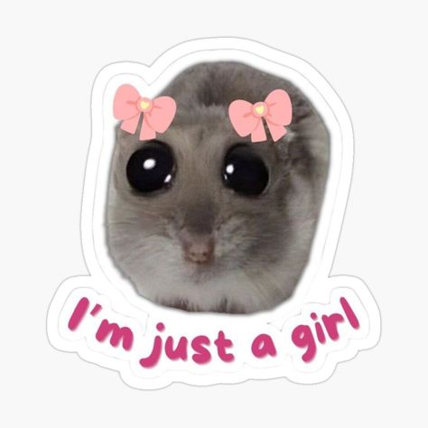 Get my art printed on awesome products. Support me at Redbubble #RBandME: https://www.redbubble.com/i/sticker/Hamster-coquette-by-SofiaDelgado/161942727.JCQM3?asc=u I'm Just A Girl, Fall T Shirt, Stickers Aesthetic, Trendy Halloween, Halloween Fall, Just A Girl, A Girl, For Sale, Design