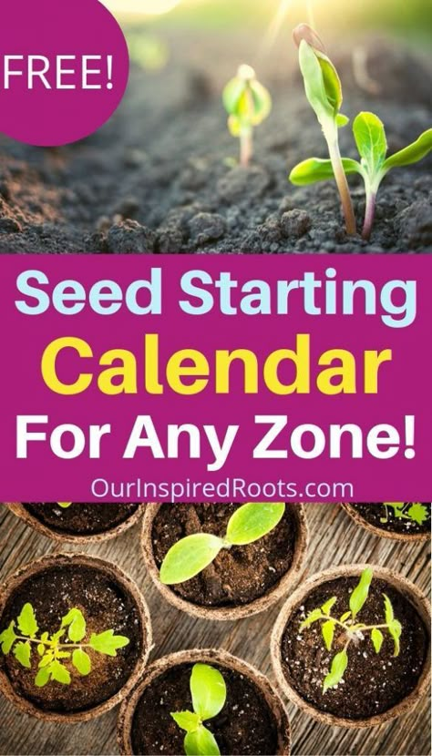 Greenhouse Seed Starting, Seed Starting Indoors, Seed Starting Calendar, Starting Vegetable Seeds, When To Plant Seeds, Planting Seeds Indoors, Gemüseanbau In Kübeln, Planting Garden, Vegetables Garden