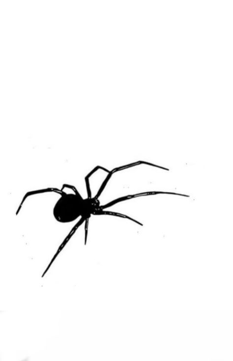 Black Widow Spider Tattoo, Web Tattoo, Black Widow Spider, Spider Tattoo, Dad Tattoos, Tattoo Lettering, Tattoo Style, Spiders, Future Tattoos