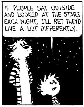 Calvin & Hobbes  If people sat outside and looked at the stars each night I'll bet they'd live a lot differently... Pete Egoscue Workout, Sufjan Stevens, Look At The Stars, Naha, Calvin And Hobbes, Nature Quotes, Comic Strip, Pretty Words, Pretty Quotes