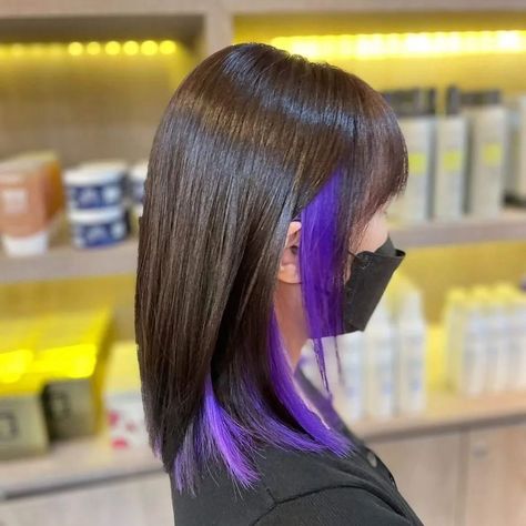 Are you thinking about switching your hair color? How about you consider getting some peekaboo highlights? These are a huge trend at the moment, and i... Black Hair With Peekaboo Color Purple, Peekaboo Hair Color 2023, Brown Hair With Vivid Peekaboo, How To Add Peekaboo Highlights, Pop Of Color Hair Hidden, Colorblock Hair Purple, Colorful Highlights In Black Hair, Kids Peekaboo Hair Color, Peekaboo Vivids