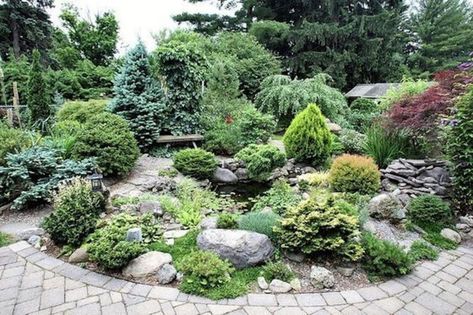 Small Evergreen Garden Ideas, Conifer Garden, Evergreen Landscape, Conifers Garden, Evergreen Garden, Patio Pergola, Front Landscaping, Have Inspiration, Landscaping Plants