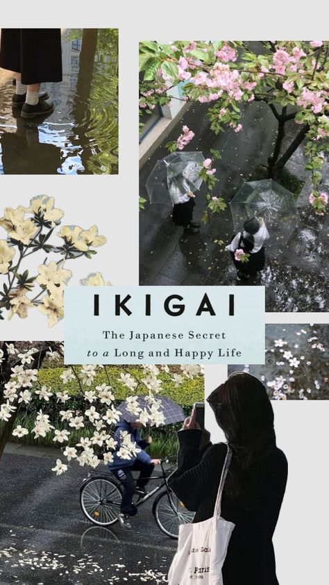 ikigai, japan, rain aesthetic Japan Rain Aesthetic, Ikigai Wallpaper, Japan Rain, Rain Aesthetic, Aesthetic Shuffles, Rain Wallpapers, Connect With People, Your Aesthetic, Creative Energy