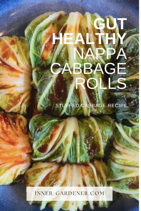 Napa Cabbage Rolls, Gluten Free Vegetarian Dinner, Napa Cabbage Recipes, Cabbage Roll, Cabbage Rolls Recipe, Pot Stickers, Napa Cabbage, Crab Recipes, Aip Recipes